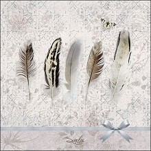    Ambiente -  - 20  - 