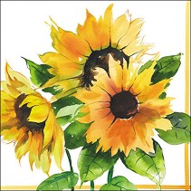    Ambiente Girasoli - 20  - 
