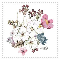    Ambiente -   - 20  - 