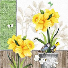    Ambiente -   - 20  - 