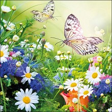    Ambiente -   - 20  - 