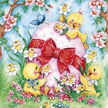    Daisy -   - 20  - 
