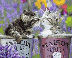    Gradientti -   - 50 x 40 cm - 