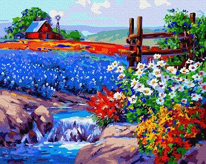 Рисуване по номера Gradientti - Цветна градина - 50 x 40 cm - 
