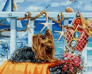    Gradientti -    - 50 x 40 cm - 