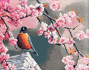    Gradientti -  - 50 x 40 cm - 