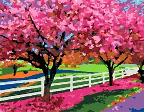    Rosa -   - 45 x 35 cm - 