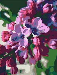    Rosa -  - 35 x 45 cm - 