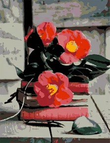    Rosa -  - 35 x 45 cm - 