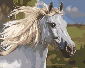 Рисуване по номера Newart - Кон - 50 x 40 cm - 