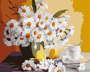    Newart -  - 50 x 40 cm - 
