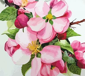    Rosa -   - 35 x 45 cm - 
