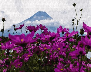    Gradientti -     - 50 x 40 cm - 