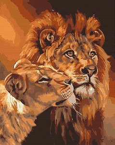    Gradientti -   - 40 x 50 cm - 