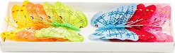     - 12    5 x 7 cm - 