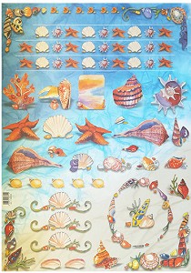   Maimeri -  - 50 x 70 cm - 