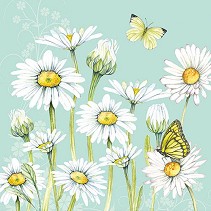    Ambiente Daisy green - 20  - 