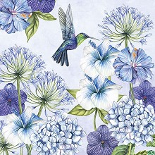    Ambiente Hummingbird - 20  - 