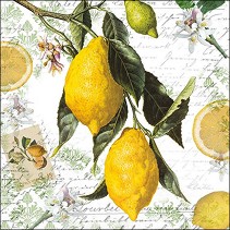    Ambiente Lemon - 20  - 