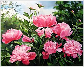 Картина за декориране с камъчета - Божури - 38 x 48 cm - 