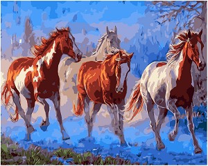    Foska -  - 50 x 40 cm - 