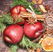    Ambiente Winter Apples - 20  - 
