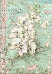   Stamperia -   - A4   Orchids and Cats - 
