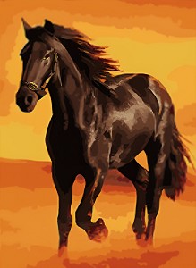    NEWART -  - 40 x 50 cm - 