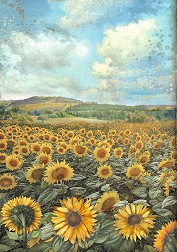   Stamperia -  - A4   Sunflower Art - 