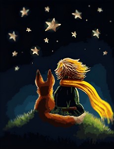   NEWART -   - 40 x 50 cm - 