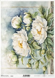   ITD Collection -   - A4 - 