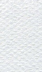    Canson 335 White -   Mi-Teintes - 