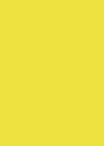   Canson 4 Canary yellow -   Colorline - 
