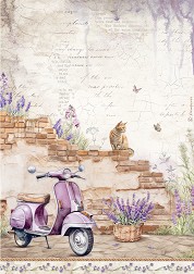   Stamperia -  - A4   Lavender - 