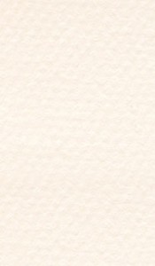    Canson 110 Lily -   Mi-Teintes - 