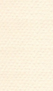    Canson 111 Ivory -   Mi-Teintes - 