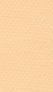    Canson 470 Champagne -   Mi-Teintes - 