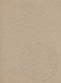    Canson 336 Sand -   Mi-Teintes - 