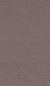    Canson 133 Sepia -   Mi-Teintes - 