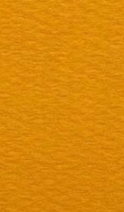    Canson 553 Cadmium yellow deep -   Mi-Teintes - 
