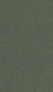    Canson 448 Ivy -   Mi-Teintes - 