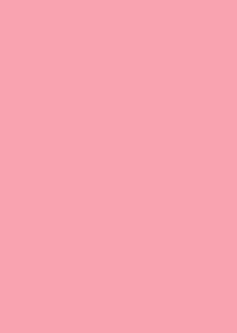    Canson 10 Rose petal -   Colorline - 