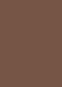    Canson 33 Nut -   Colorline - 