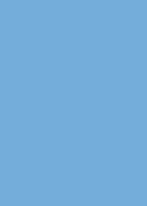    Canson 20 Sky blue -   Colorline - 