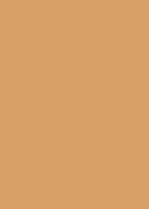    Canson 32 Leather -   Colorline - 