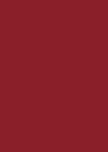    Canson 16 Dark red -   Colorline - 