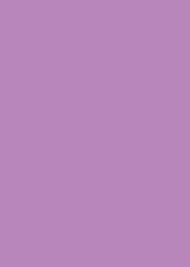    Canson 17 Lilac -   Colorline - 