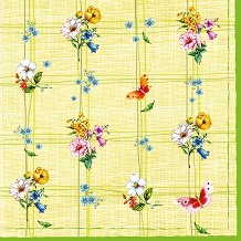    Daisy -  - 20  - 