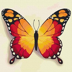    Ideyka -   - 25 x 25 cm - 