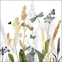    Ambiente -   - 20  - 